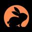 CodeRabbit logo