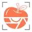 SnapCalorie logo