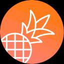 Pineapple Builder logo