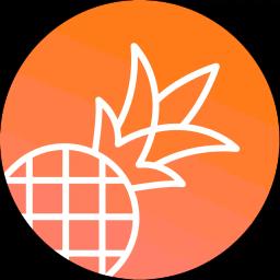 Pineapple Builder logo