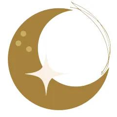 Astronov logo