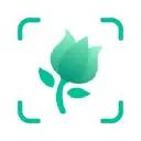 PictureThis logo