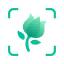 PictureThis logo