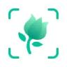 PictureThis logo