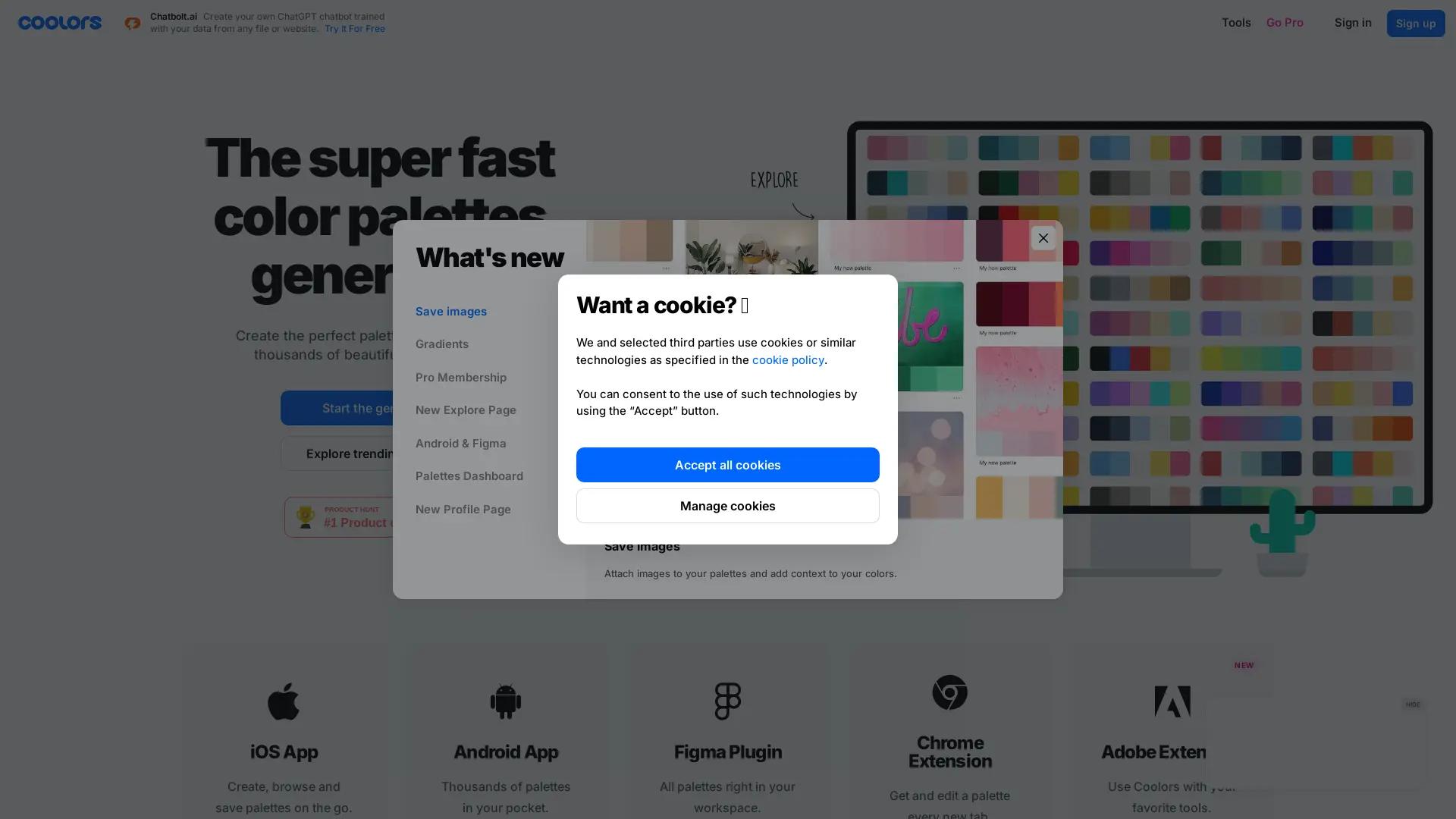 Coolors screenshot