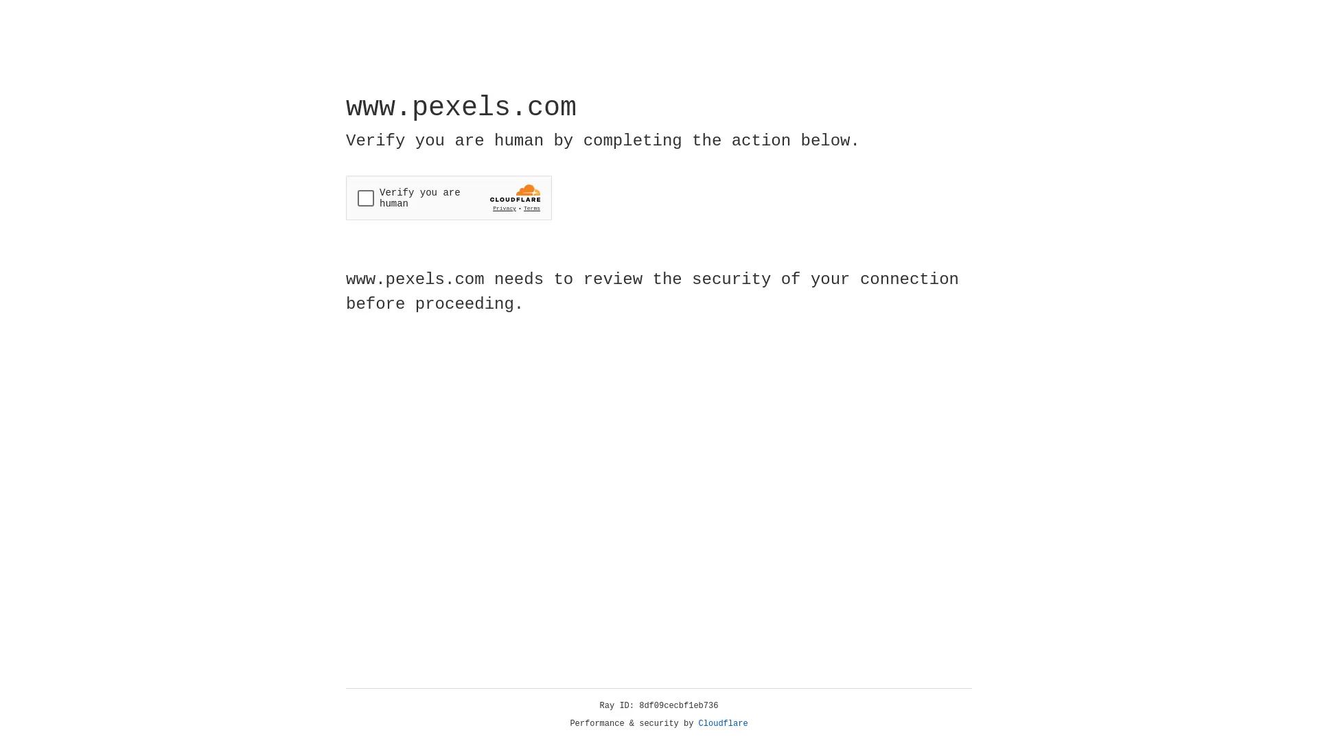Pexels screenshot