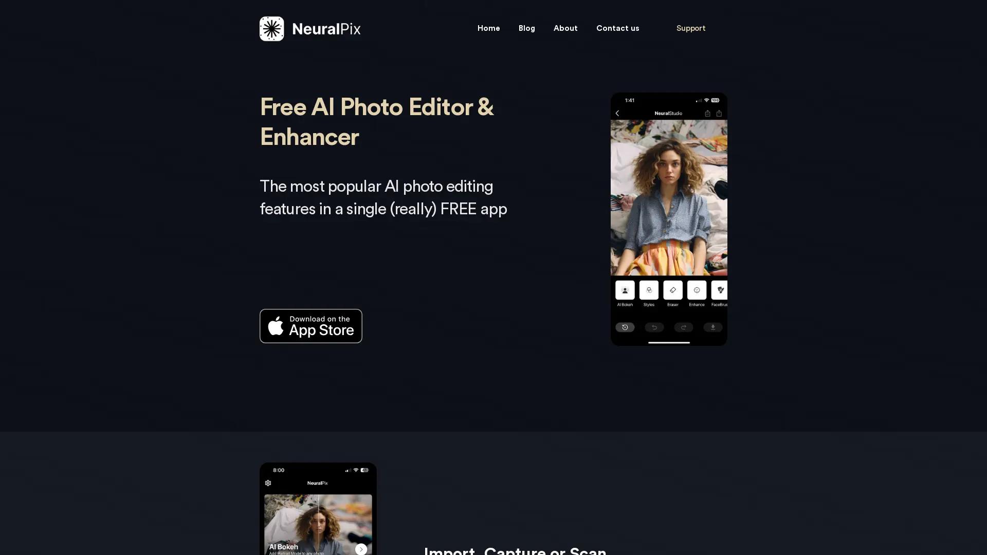 NeuralPix screenshot