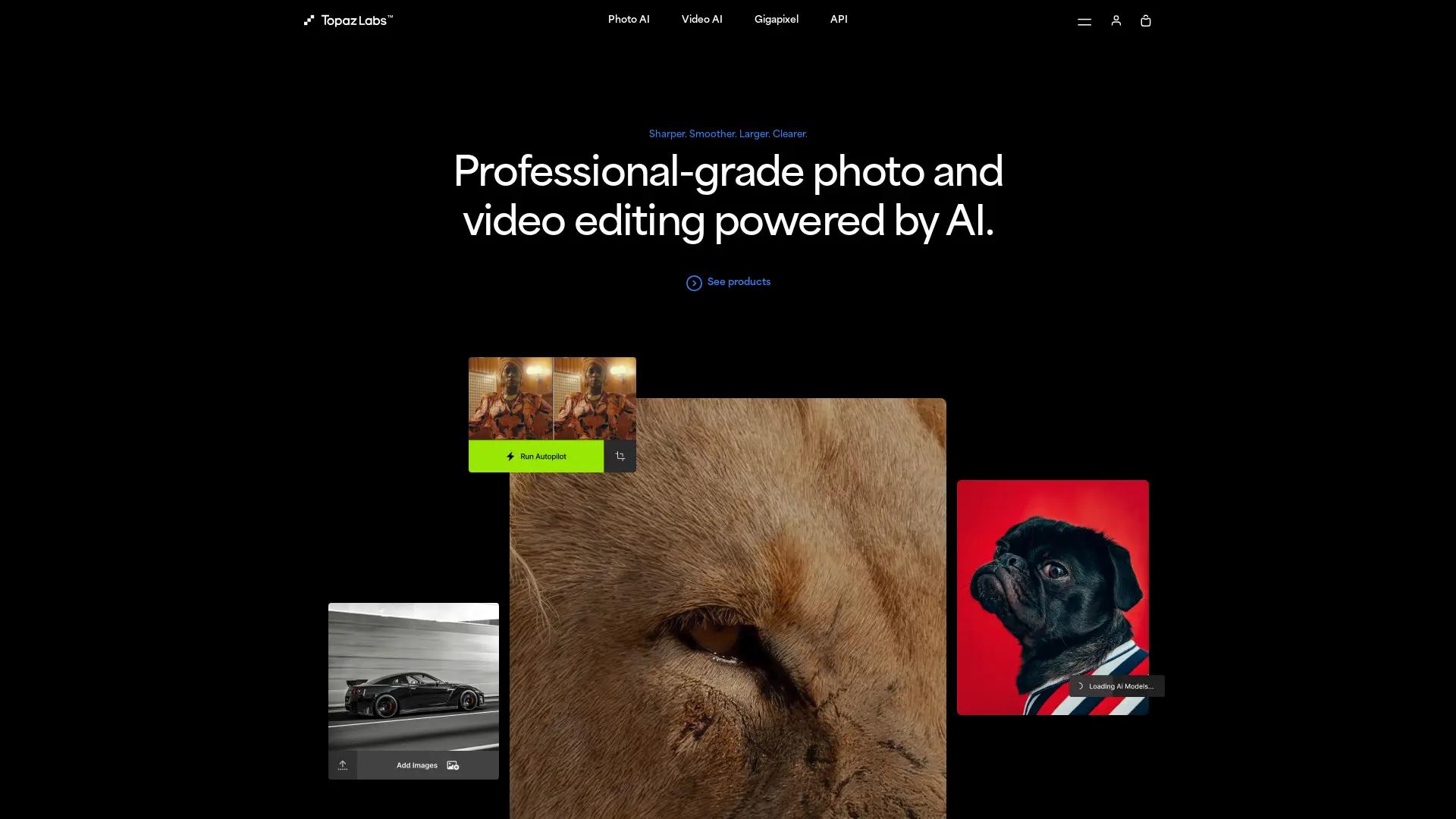 Topaz Labs screenshot
