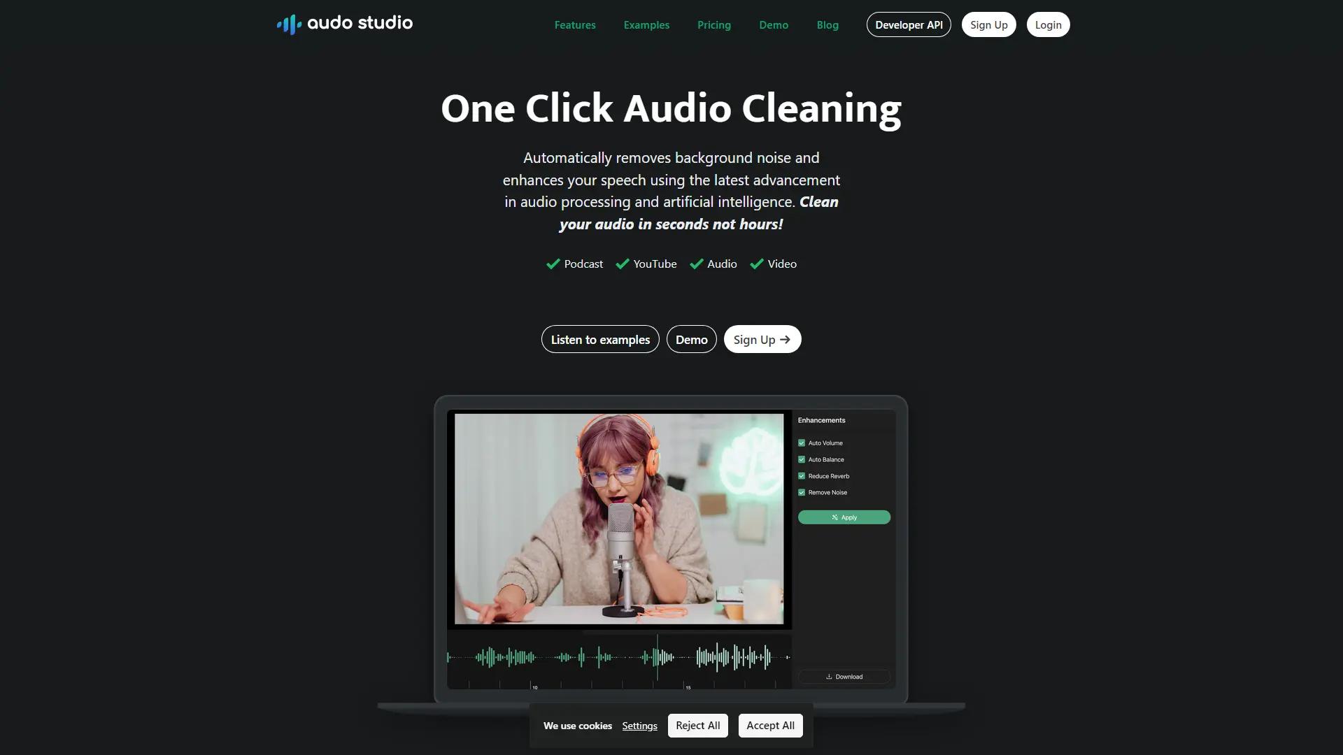Audo AI screenshot