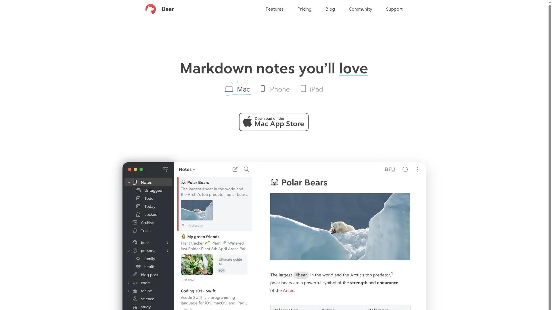Bear screenshot