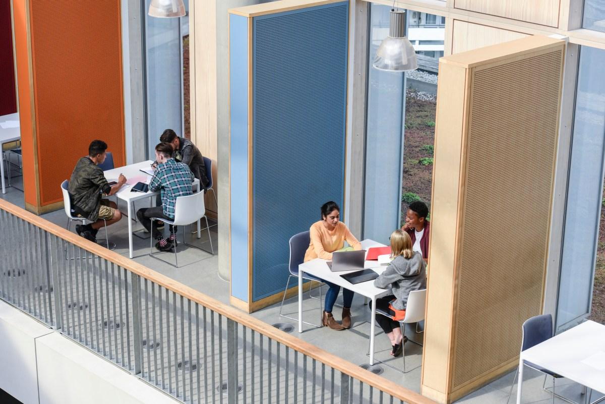 Exodus to AI Wonder: Where Computer Science Students Thrive